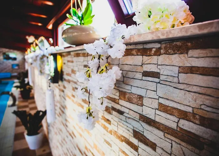 Barackos Wellness * Fot